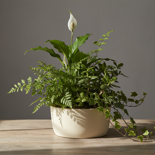 can it look less Ai ... maybe a different background or studio photo